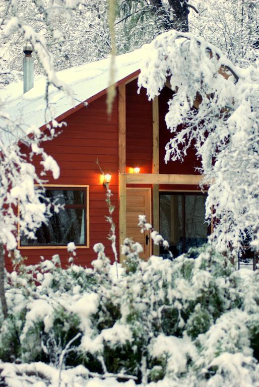 Basecamp Las Trancas Villa Oda fotoğraf