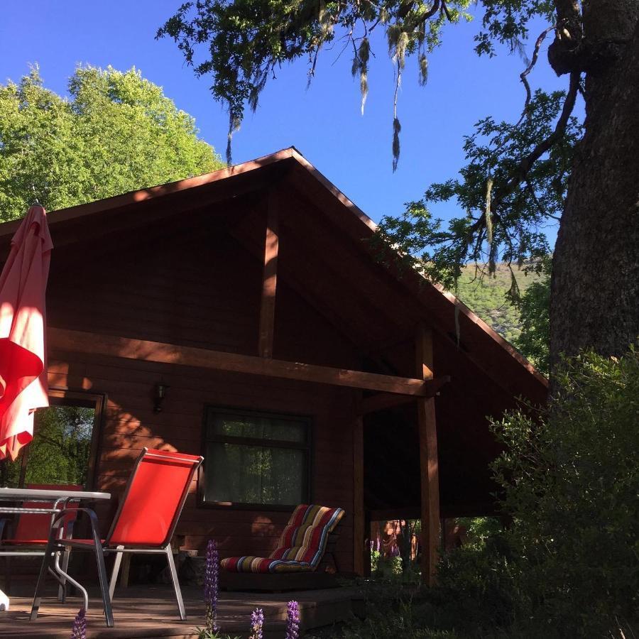 Basecamp Las Trancas Villa Dış mekan fotoğraf