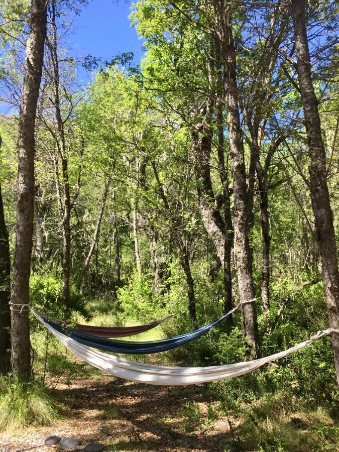 Basecamp Las Trancas Villa Dış mekan fotoğraf