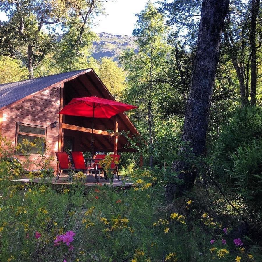 Basecamp Las Trancas Villa Dış mekan fotoğraf